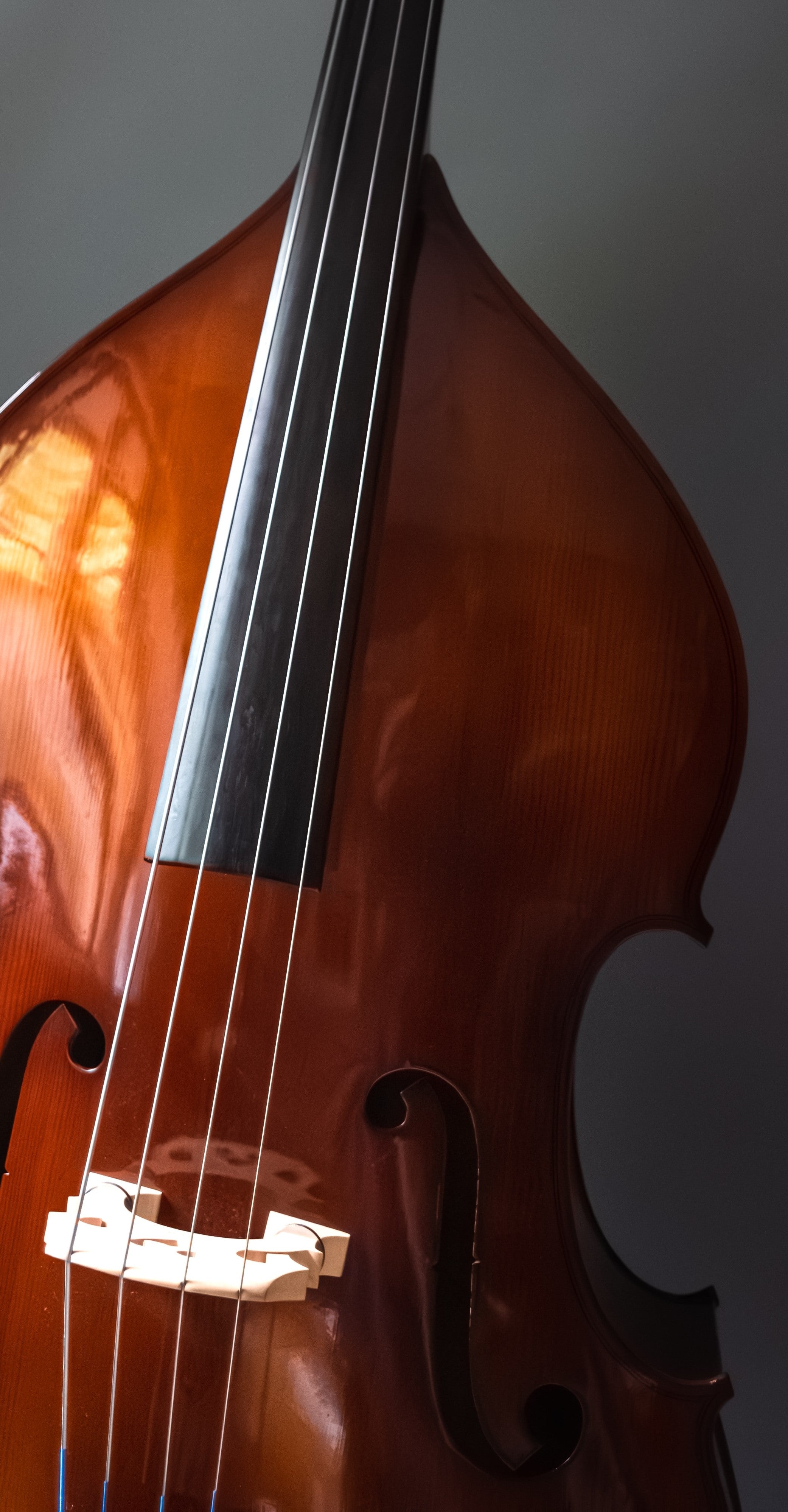 Accessories For Bass – The Long Island Violin Shop