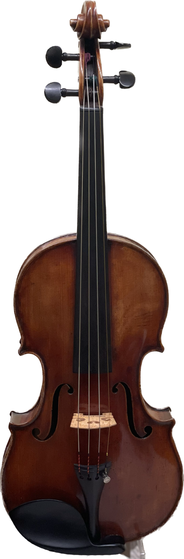 John Friedrich violin 1893