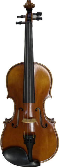 Strings violin deals shop