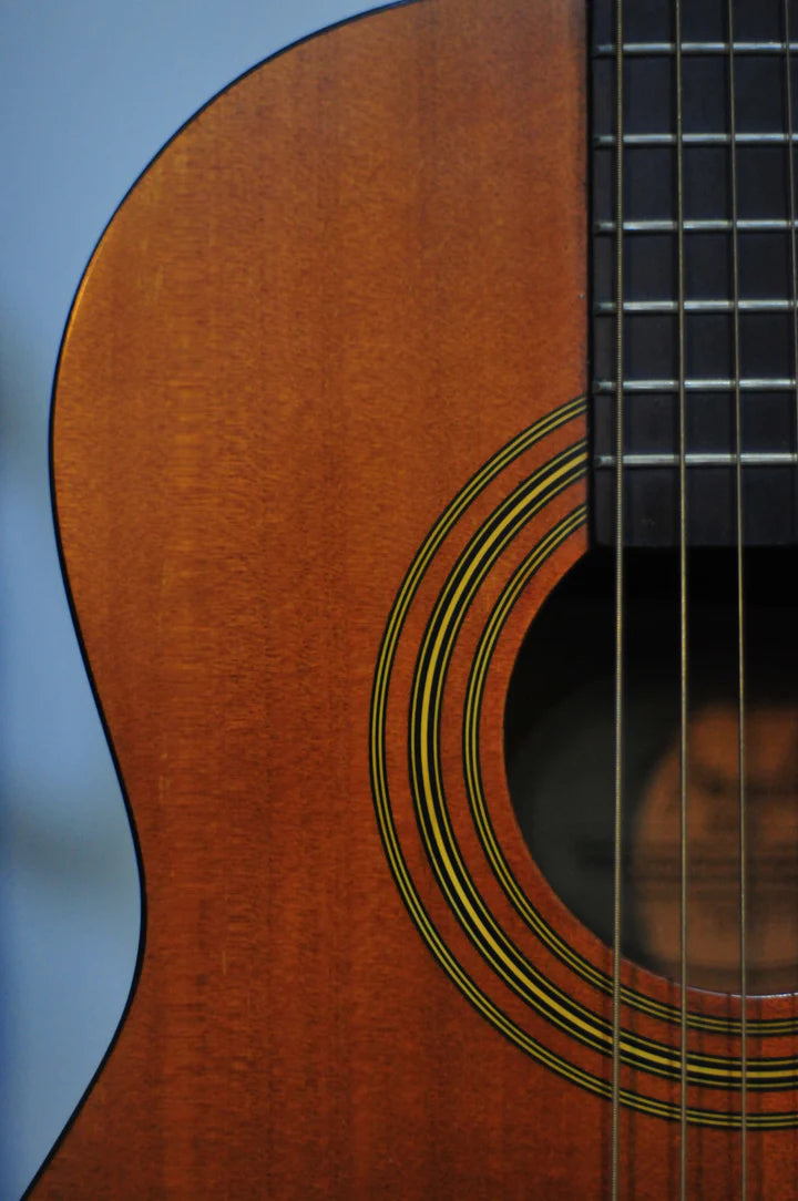 close up of an acoustic guitar strings