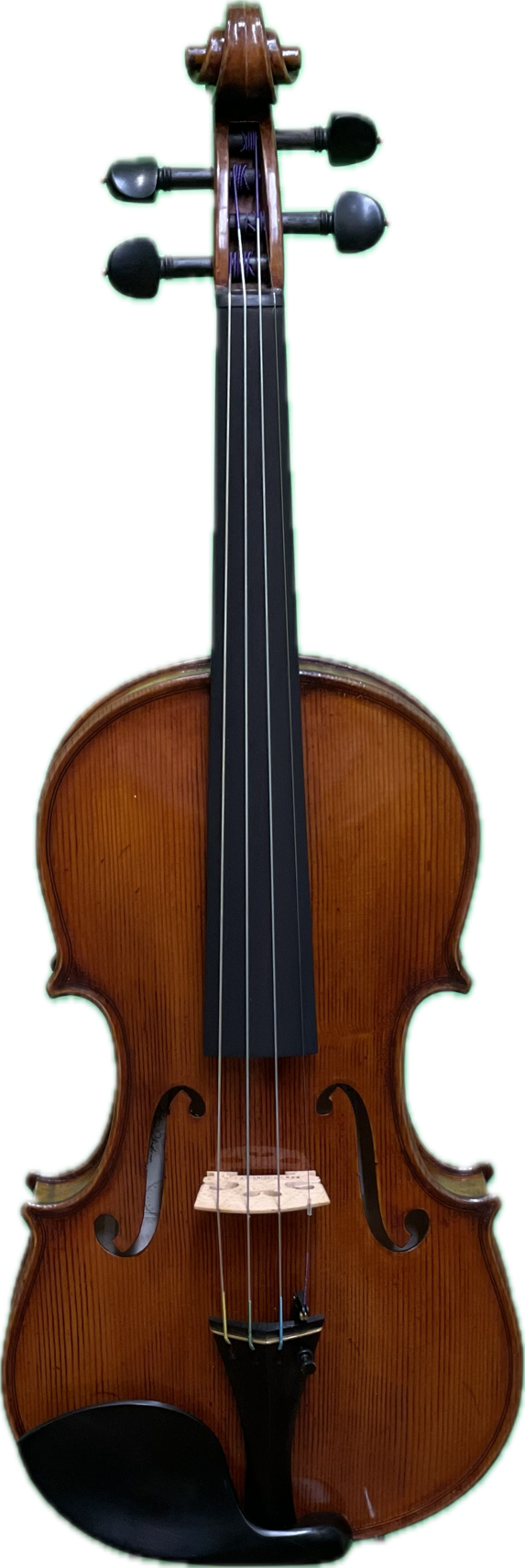 Eastman Model 830 Violin - 30th Anniversary Edition – The Long Island ...