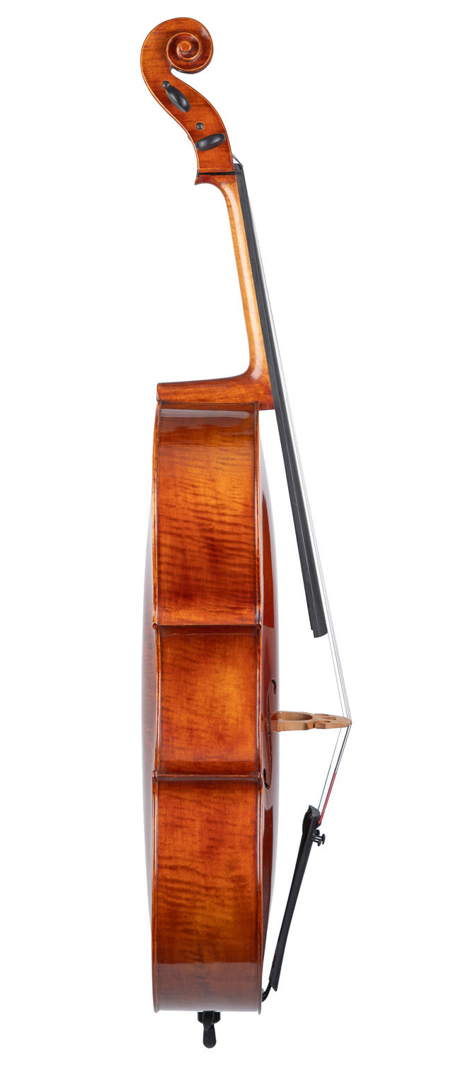 Revelle 750 Cello