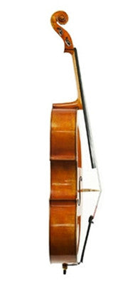 Friedrich Wyss Model 703 Guarneri Cello - Profile